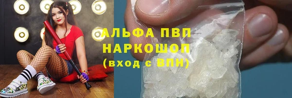 ешки Новозыбков