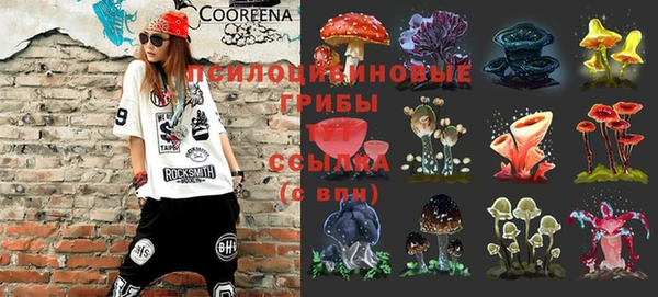 ешки Новозыбков