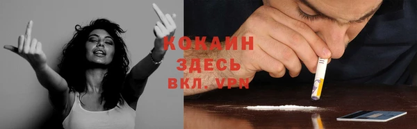ешки Новокубанск