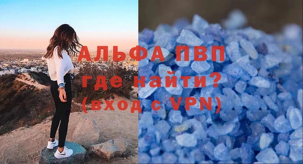 ешки Новозыбков