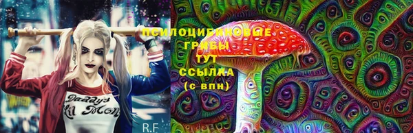 ешки Новокубанск