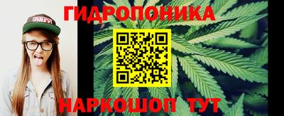 наркотики Будённовск
