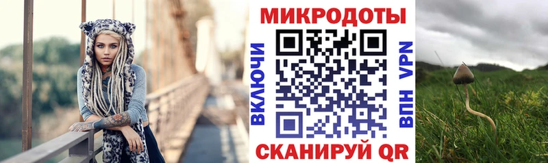 кракен маркетплейс  Севастополь  Галлюциногенные грибы Psilocybine cubensis 